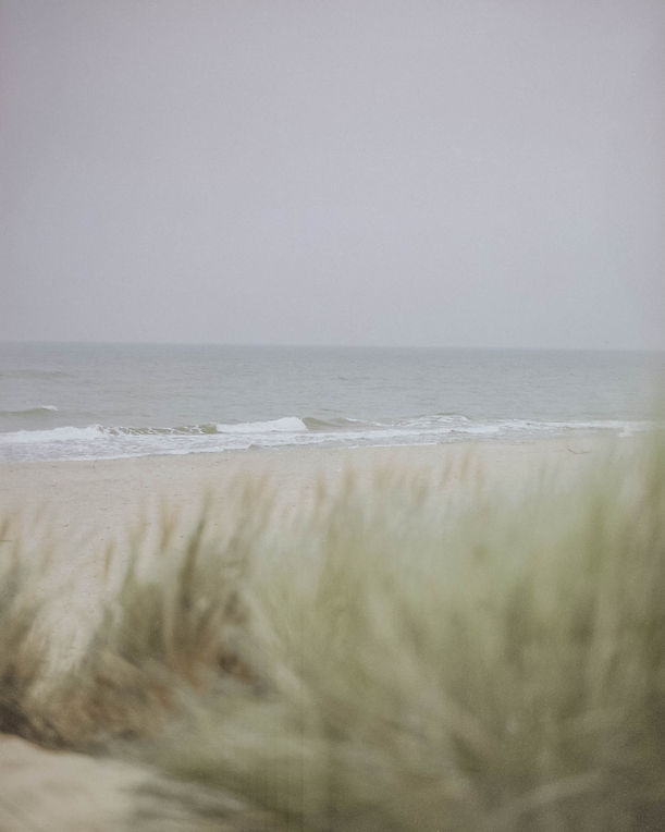 visuals.jpg